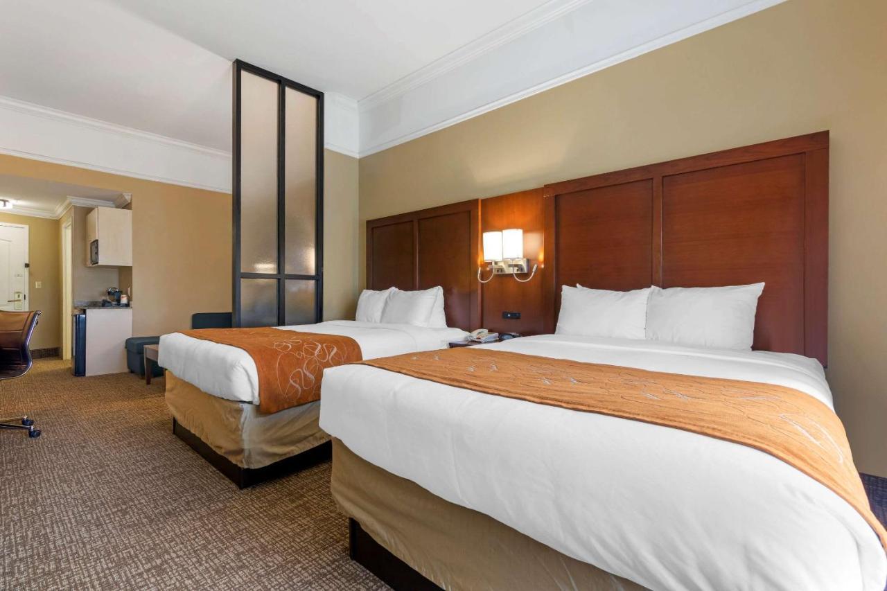 Comfort Suites Savannah North Port Wentworth Dış mekan fotoğraf